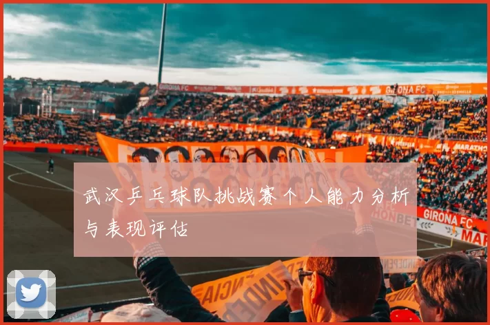 武汉乒乓球队挑战赛个人能力分析与表现评估