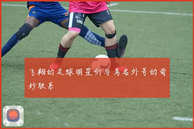 飞翔的足球明星们与鸟名外号的奇妙联系