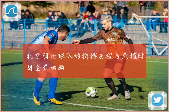 北京羽毛球队的拼搏历程与荣耀时刻全景回顾