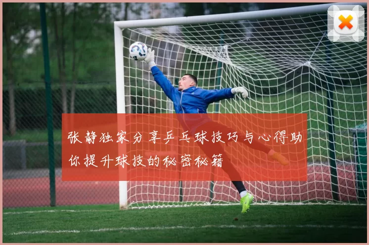 张静独家分享乒乓球技巧与心得助你提升球技的秘密秘籍