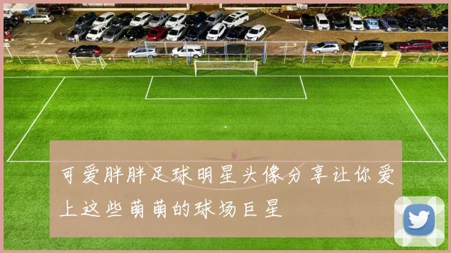 可爱胖胖足球明星头像分享让你爱上这些萌萌的球场巨星