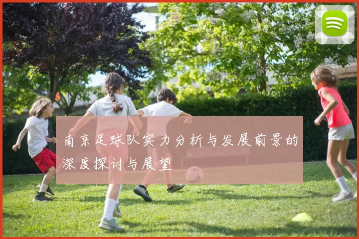南京足球队实力分析与发展前景的深度探讨与展望