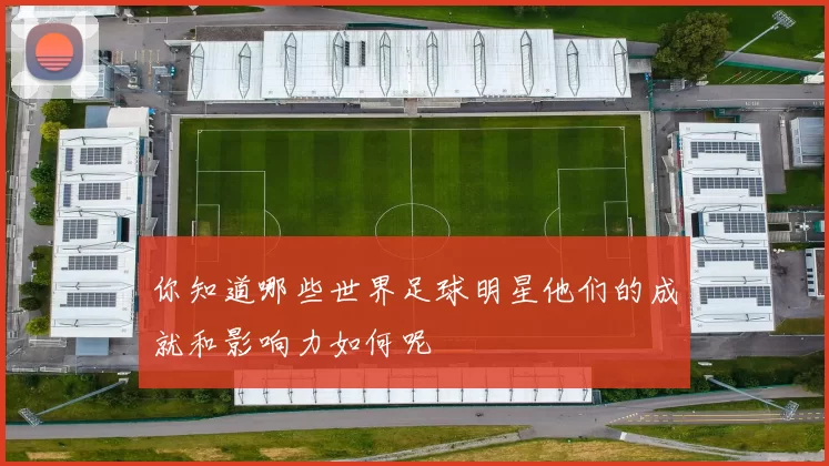 你知道哪些世界足球明星他们的成就和影响力如何呢